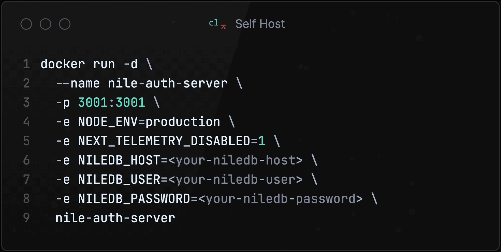 /blog/2025-03-10-introducing-nile-auth/selfhost.png